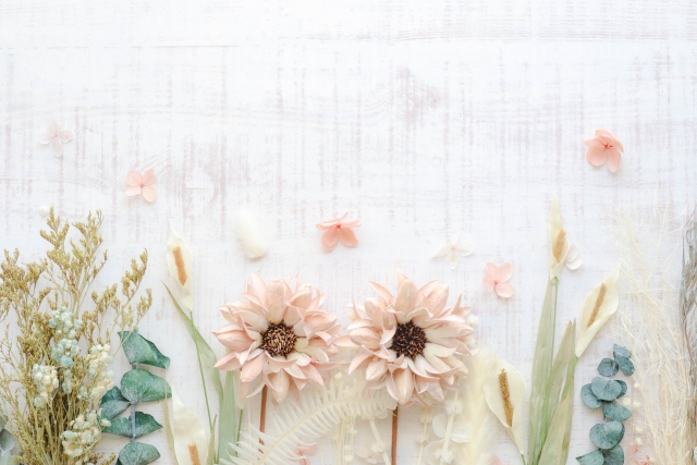 ボタニカルガーベラ